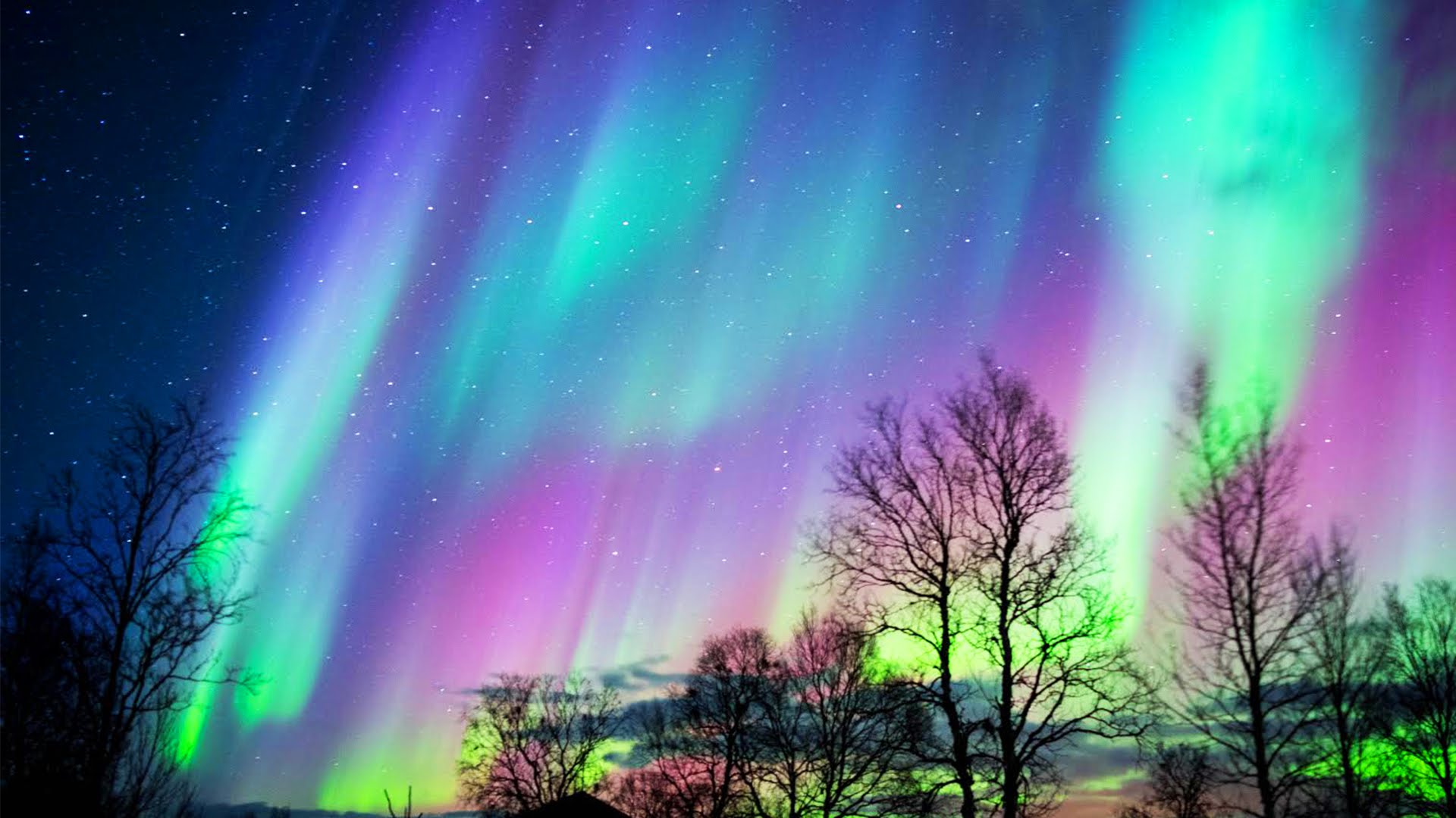 Aurora at Night